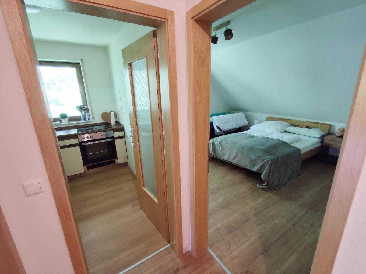 Apartamento Black Forest Living - Todtnauberg Exterior foto