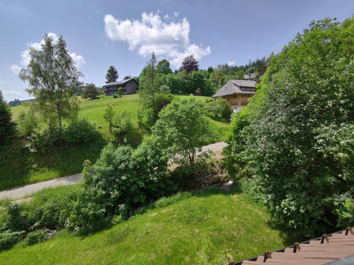 Apartamento Black Forest Living - Todtnauberg Exterior foto