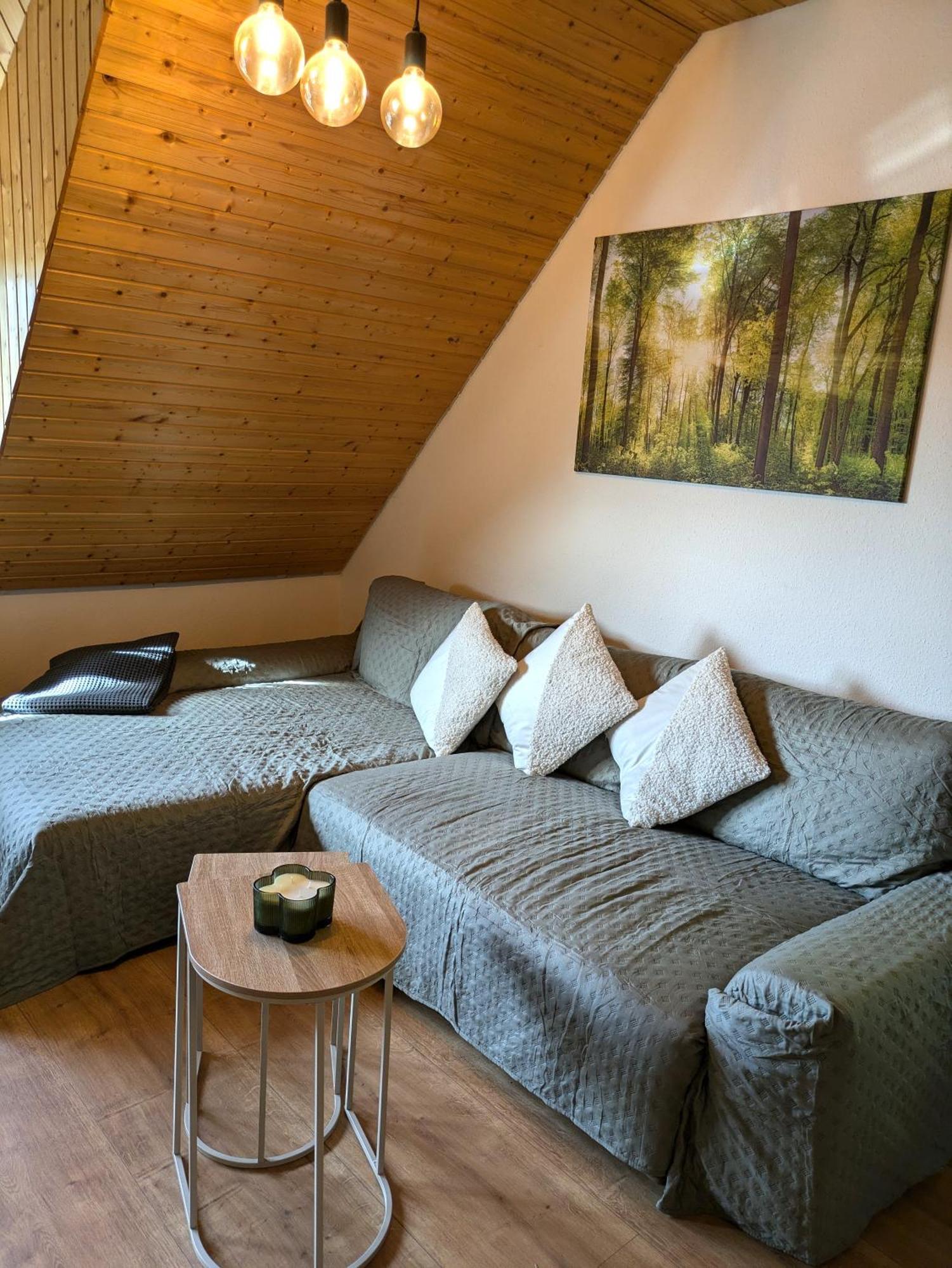 Apartamento Black Forest Living - Todtnauberg Exterior foto