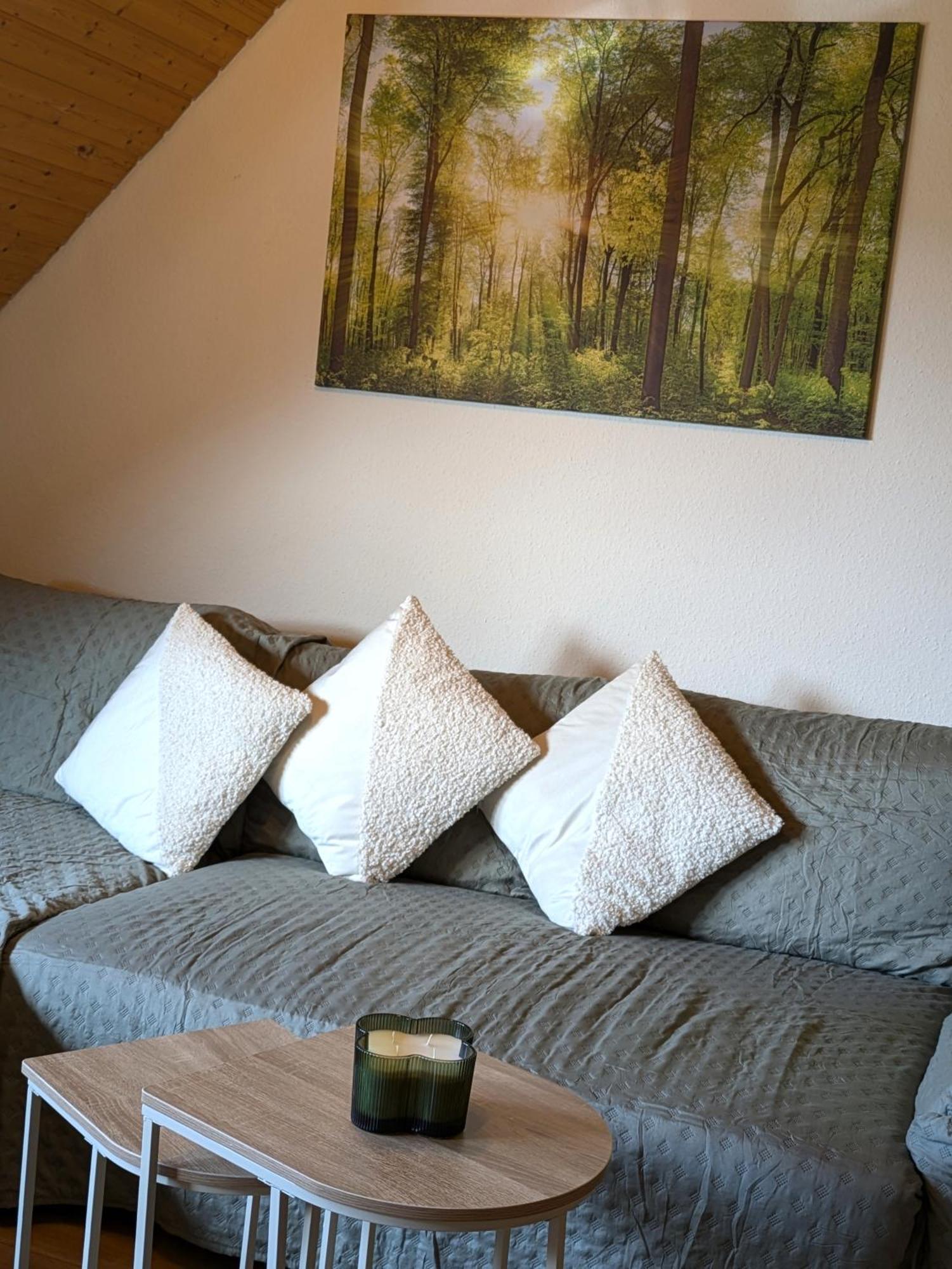Apartamento Black Forest Living - Todtnauberg Exterior foto
